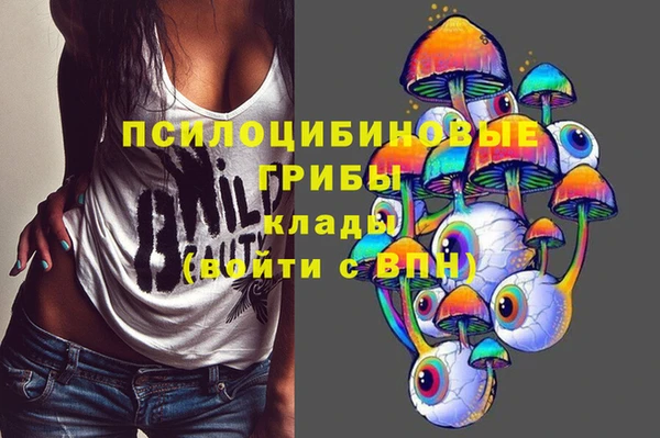 герыч Богородицк