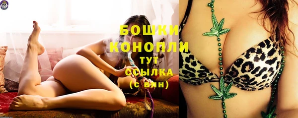 mdpv Богданович