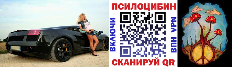Псилоцибиновые грибы мухоморы  darknet телеграм  Мурманск  купить закладку 